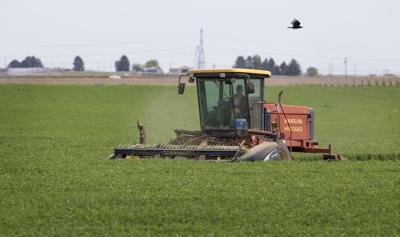210515-newslocal-swather 01.jpg