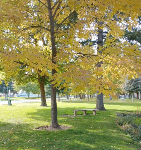 Fall foliage | Empire Press | wenatcheeworld.com