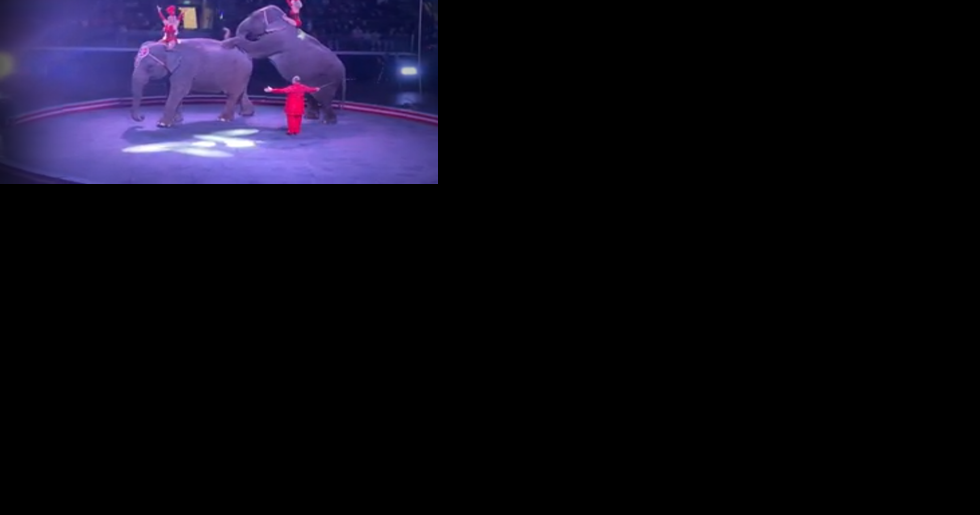 Wenatchee City Council expected to vote on circus animal ban - Vimarsana News