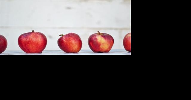 State releases free and reduced lunch materials - Vimarsana News