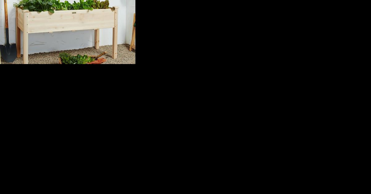 A top-selling raised garden bed that's 'definitely a back saver' is on sale for $90 at Amazon - Vimarsana News