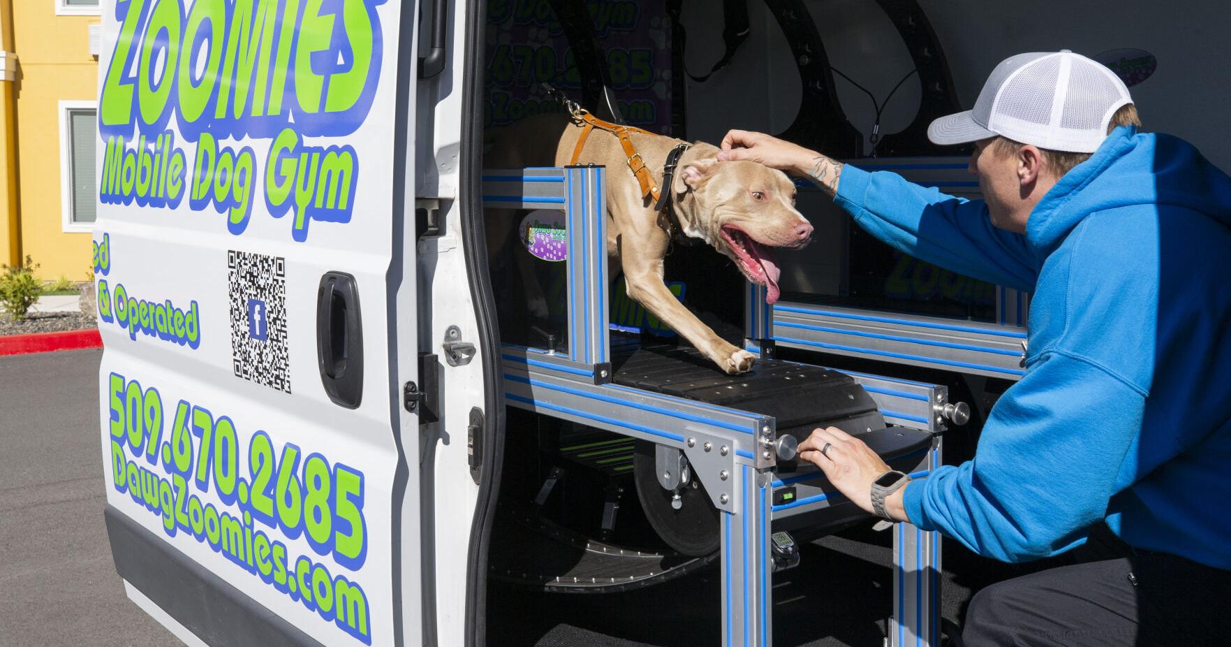 Wenatchee Valley dogs 'flip' out for Dawg Zoomies - Vimarsana News