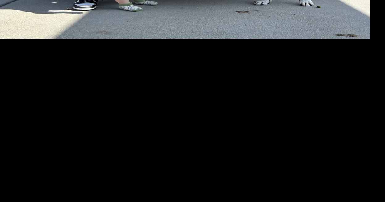 A pit bull named Cinderella waited more than three years in a shelter. Her story has a happy ending