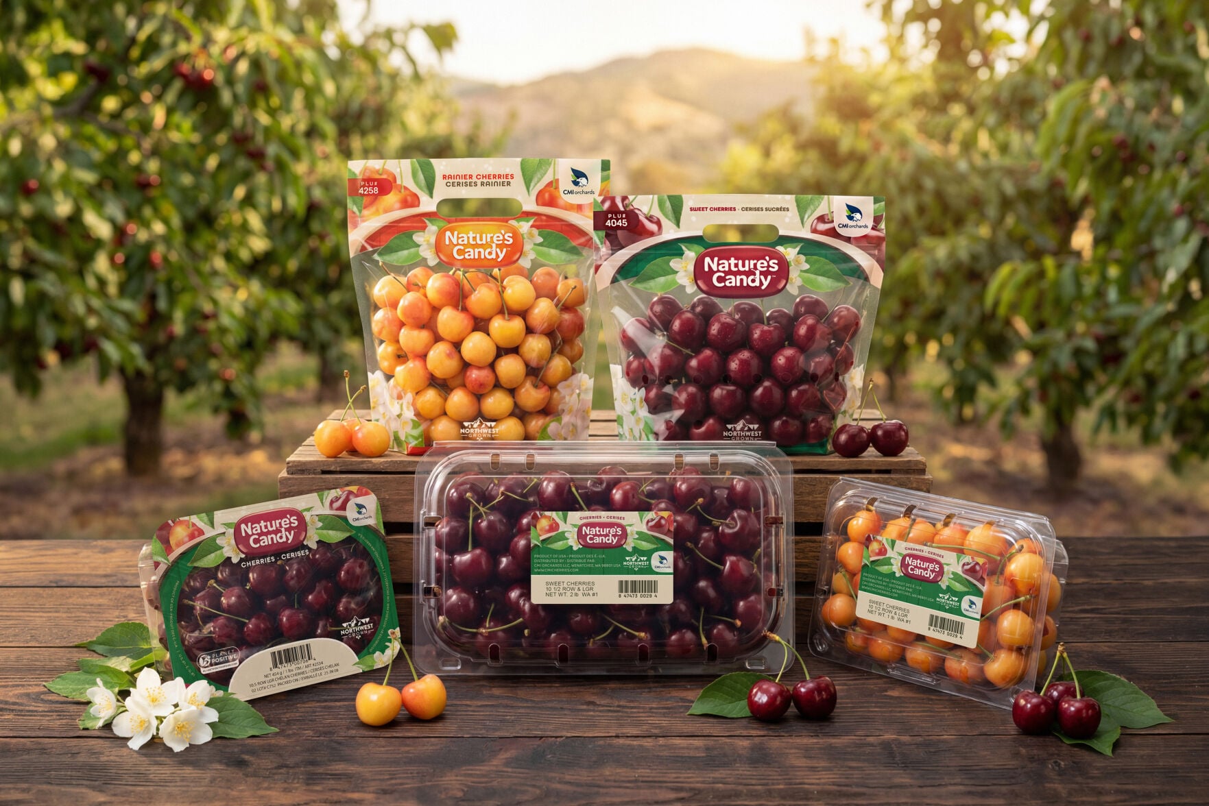 CMI Orchards unveils new Nature's Candy cherry packaging for 2026