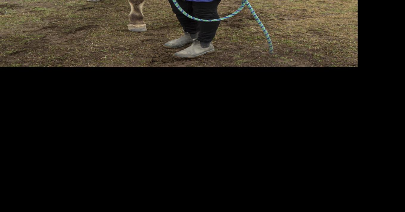 Community Connection Award | Alatheia Therapeutic Riding Center ...
