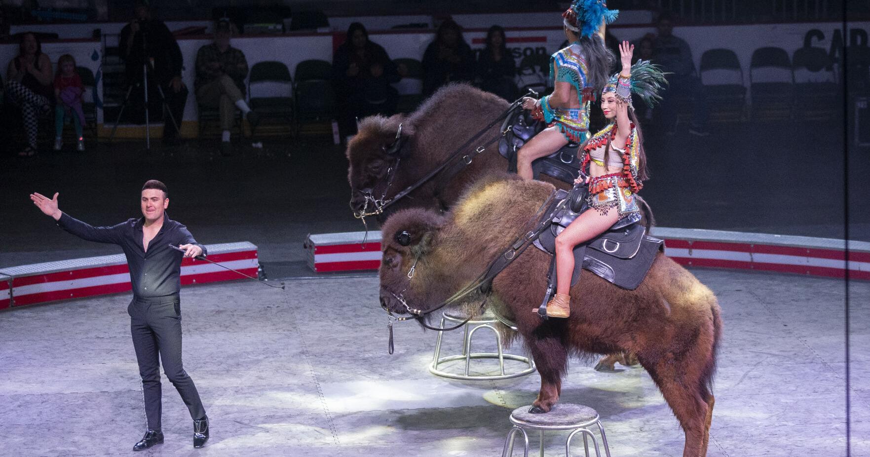 Greater Wenatchee Regional Events Center PFD board keeps animals in circuses - Vimarsana News