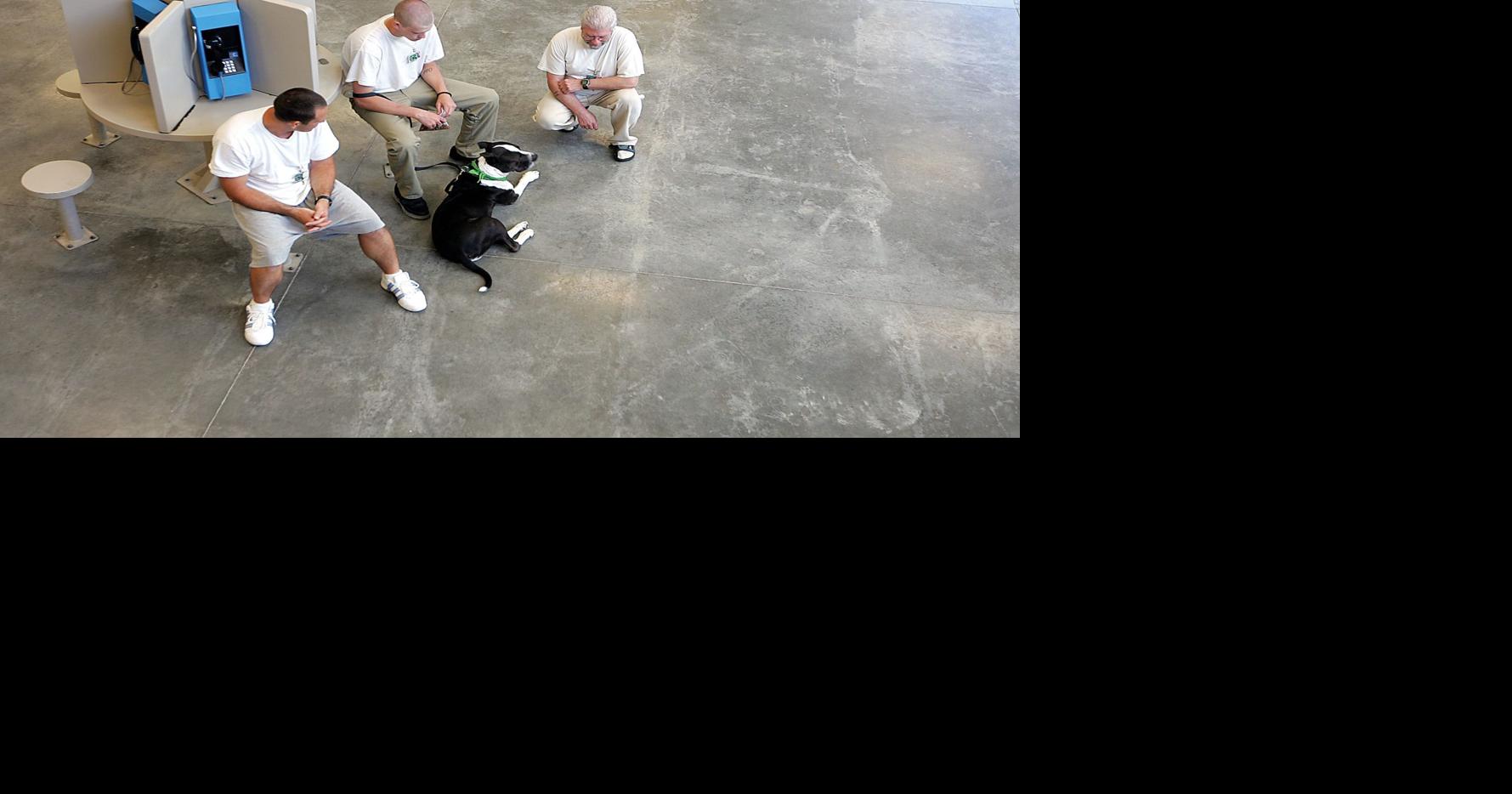 Coyote Ridge inmates rehabilitating death-row dogs | Business & Real ...