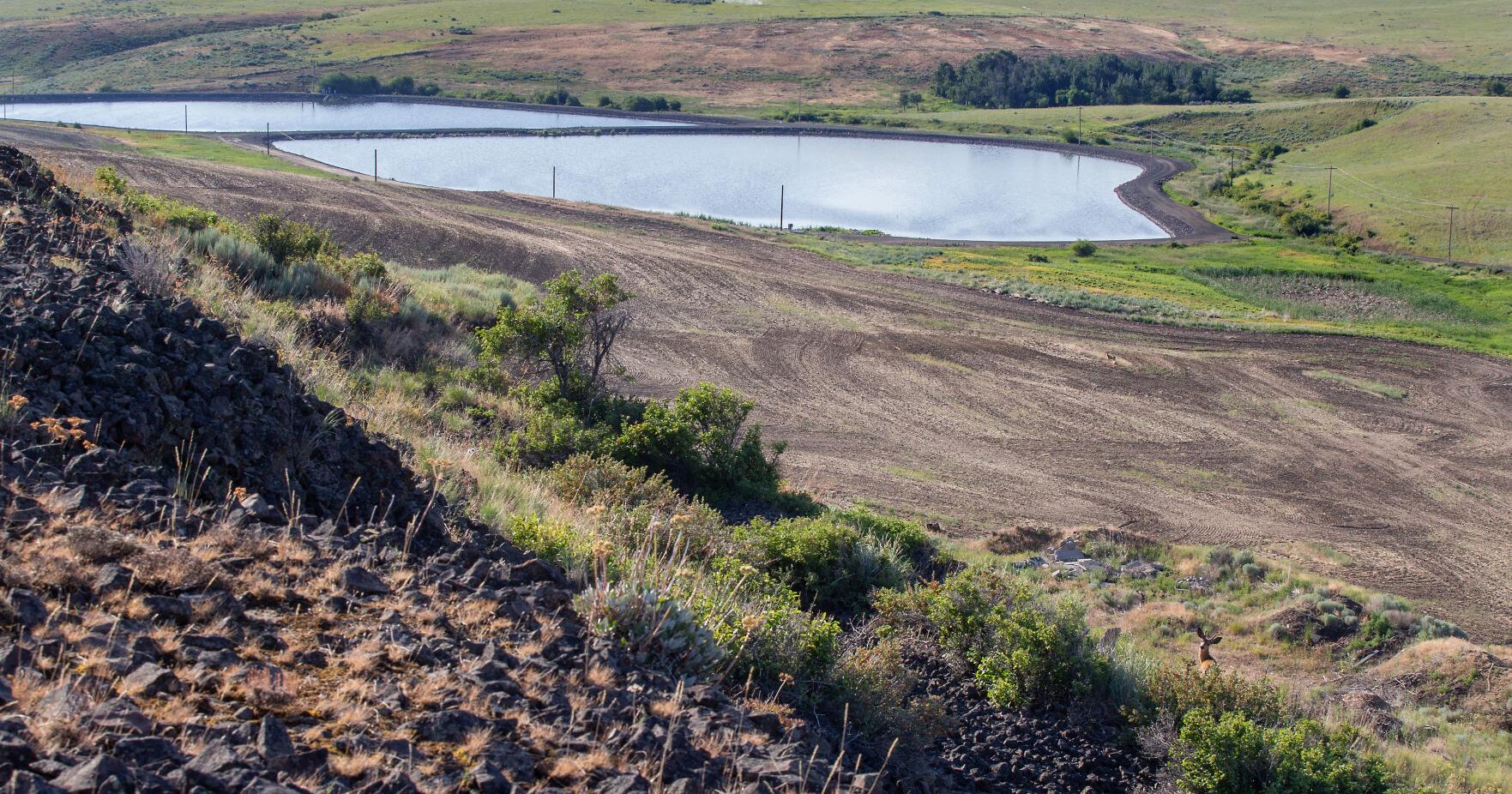 Waterville residents to face higher sewer rates for planned lagoon - Vimarsana News