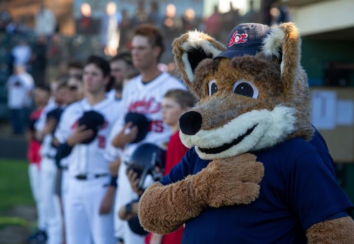 Twins hire not one but two people to be mascot T.C. Bear