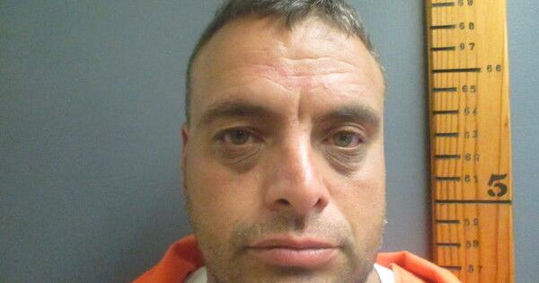 Zwolle Man Arrested on Domestic Charges After Police Pursuit - Vimarsana News