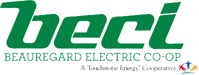 English Essay Ideas Beauregard Electric Invites Local Students To A Chance To Win An All Expense Paid Trip To Washington Dc By Entering Their Essay Contest Essay On Cow In English also Essay On Cow In English Beci Essay Contest For A Trip To Washington Dc Calendar Buy Essays Papers