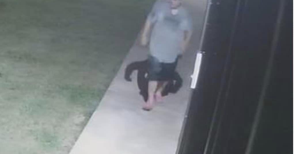 RPSO Searching for Burglary Suspect - Vimarsana News