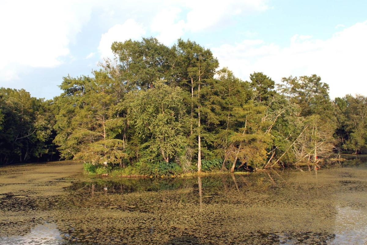 Slideshow Bundick Lake Features