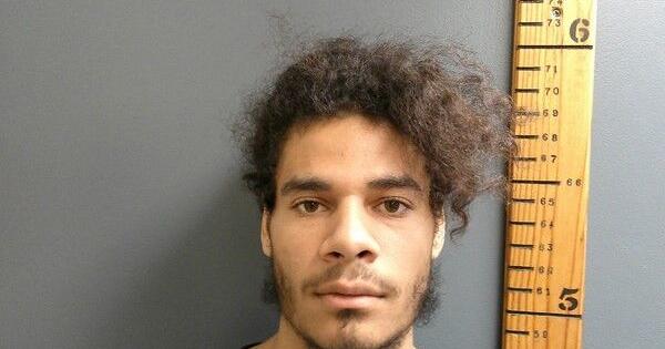 Zwolle Man Taken Into Custody After Manhunt - Vimarsana News