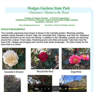 Friends Of Hodges Gardens February 2017 Newsletter Available