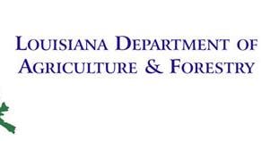 LA Workforce Development Program Accepting Intern Applicatio