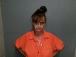 VPSO Arrest Report 8/25