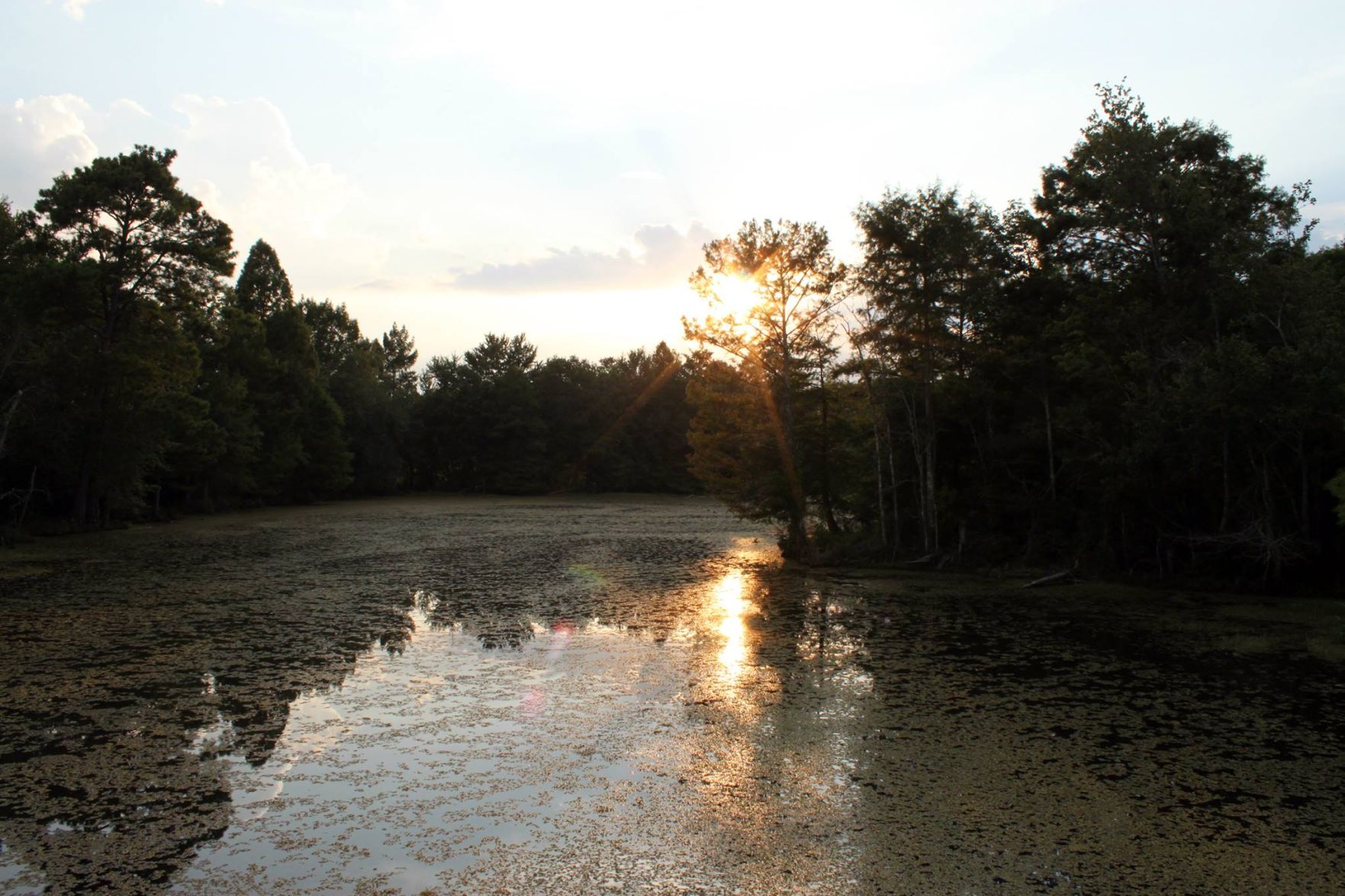 Bundick Lake