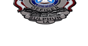 Sulphur Woman Charged With Criminial Mischief - Vimarsana News