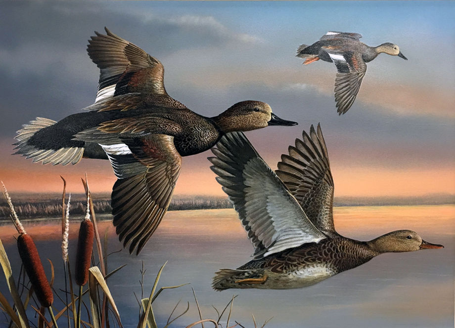 Florida man wins 2016 Louisiana Duck Stamp Competition