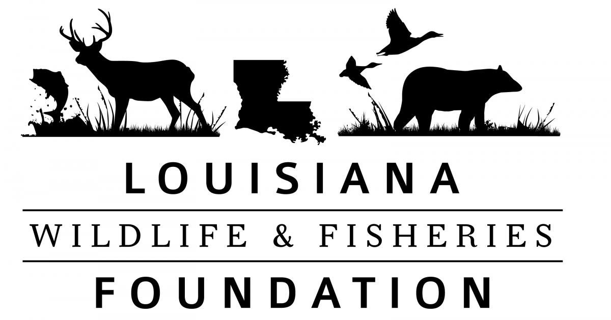 Louisiana wildlife on sale and fishing