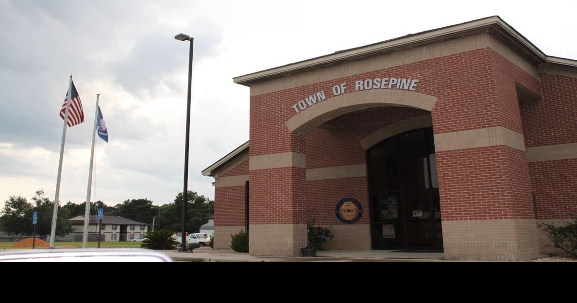 Former Rosepine police chief pleads guilty to stalking, battery charges