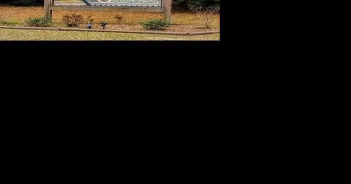 Sam Houston Jones State Park Official Re-Opening - Vimarsana News
