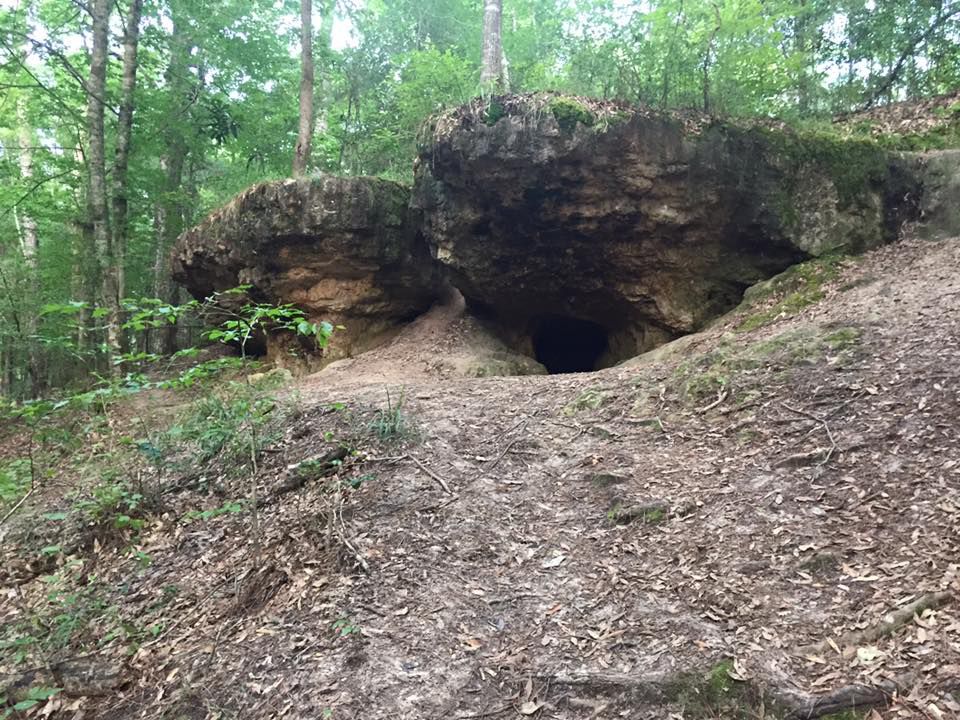 SLIDESHOW: Wolf Rock Cave In Vernon Parish | News | Westcentralsbest.com