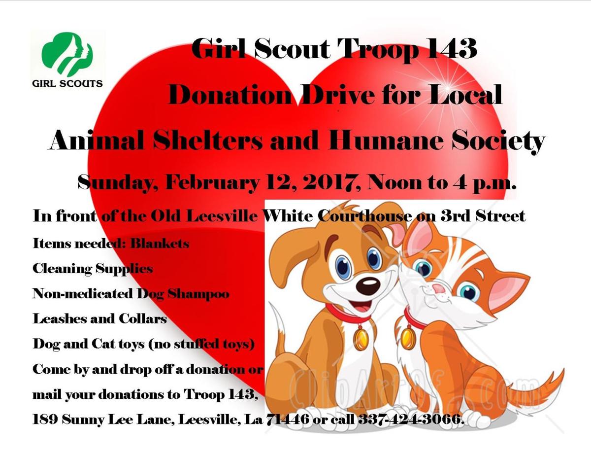 Animal Shelter Donation Flyer Template prntbl concejomunicipaldechinu