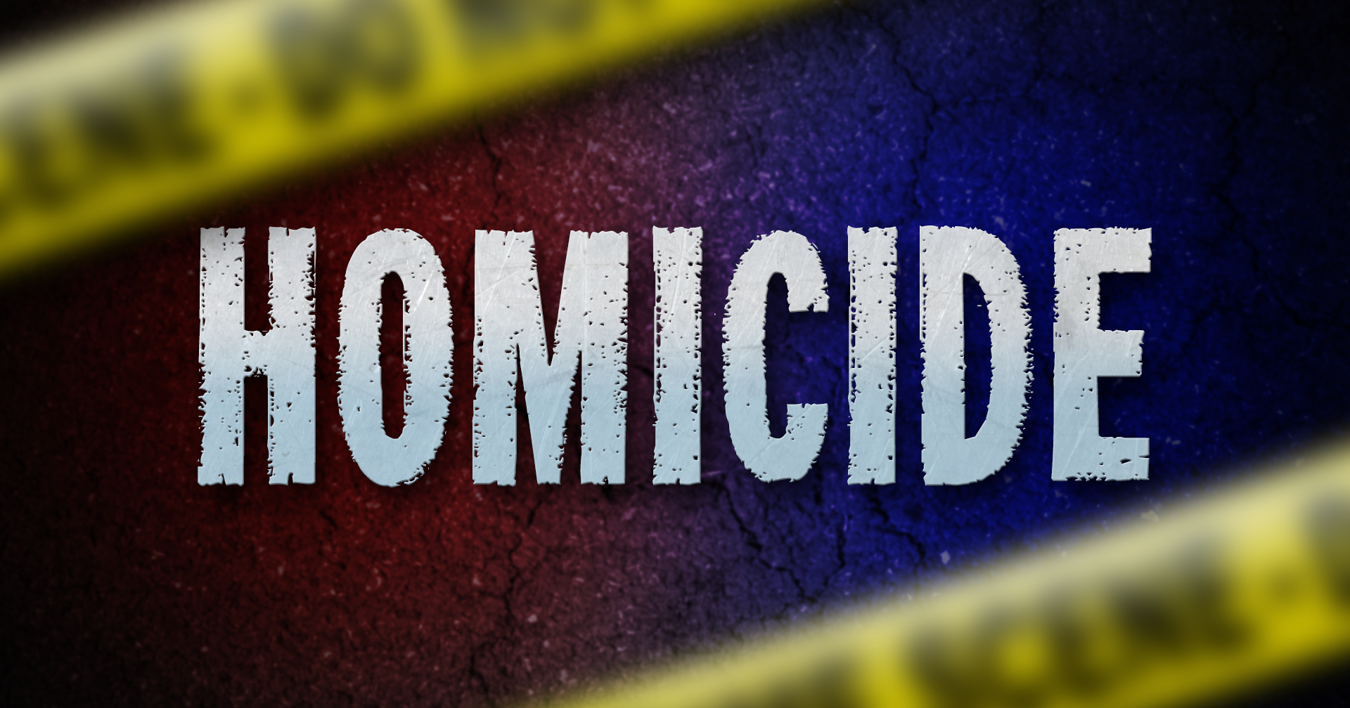Alexandria Man Turns Himself in After Sunday Homicide - Vimarsana News
