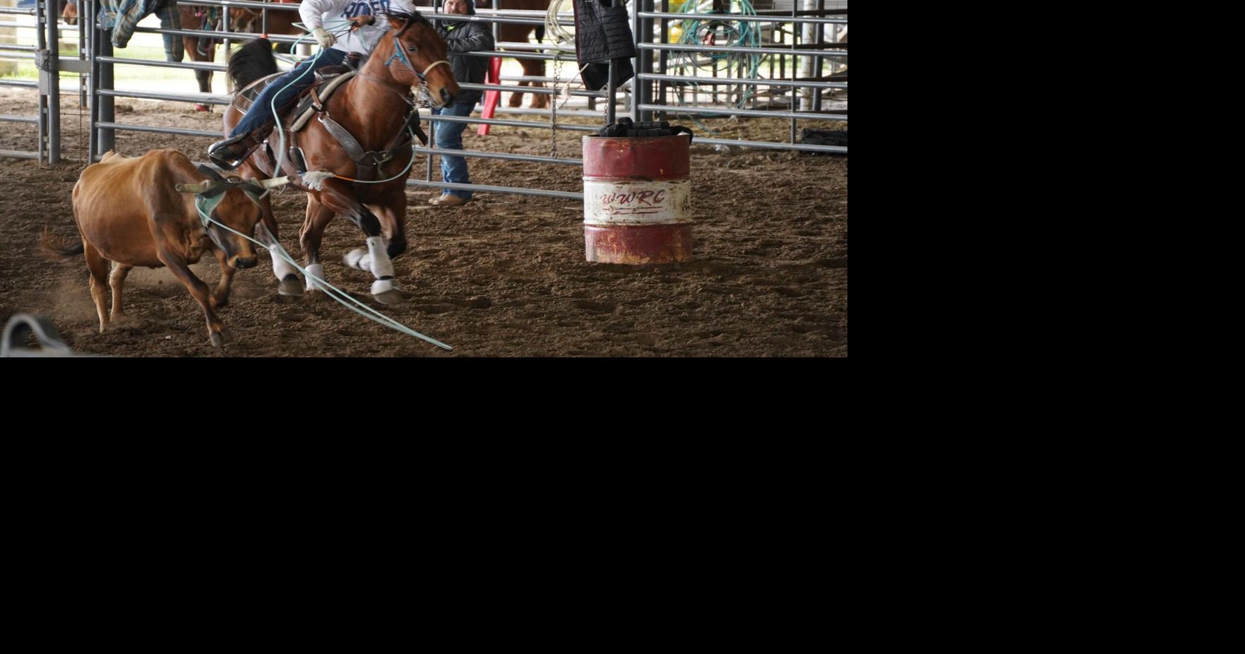 LEESVILLE: 4-H roping clinic brings in world champ to teach ropers of ...