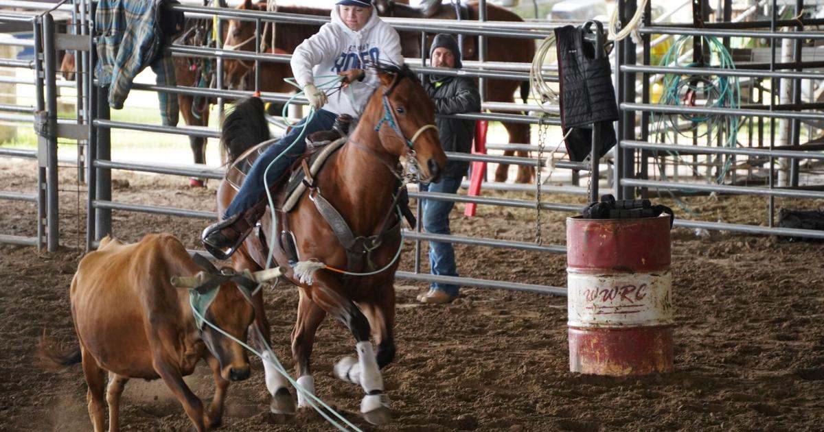 LEESVILLE: 4-H roping clinic brings in world champ to teach ropers of ...