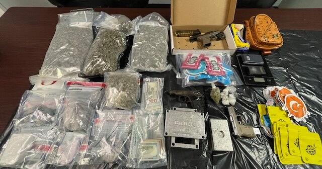 Traffic Stop Leads to Large Drug Seizure - Vimarsana News