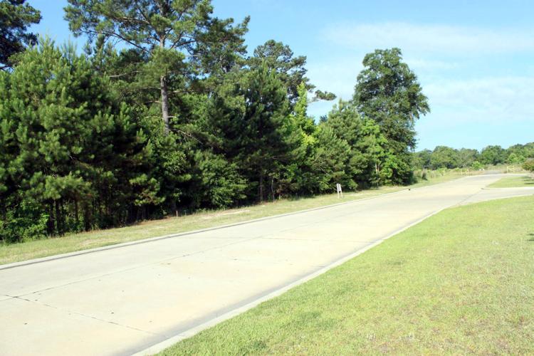 Leesville City Council votes to accept Market Basket Road into city