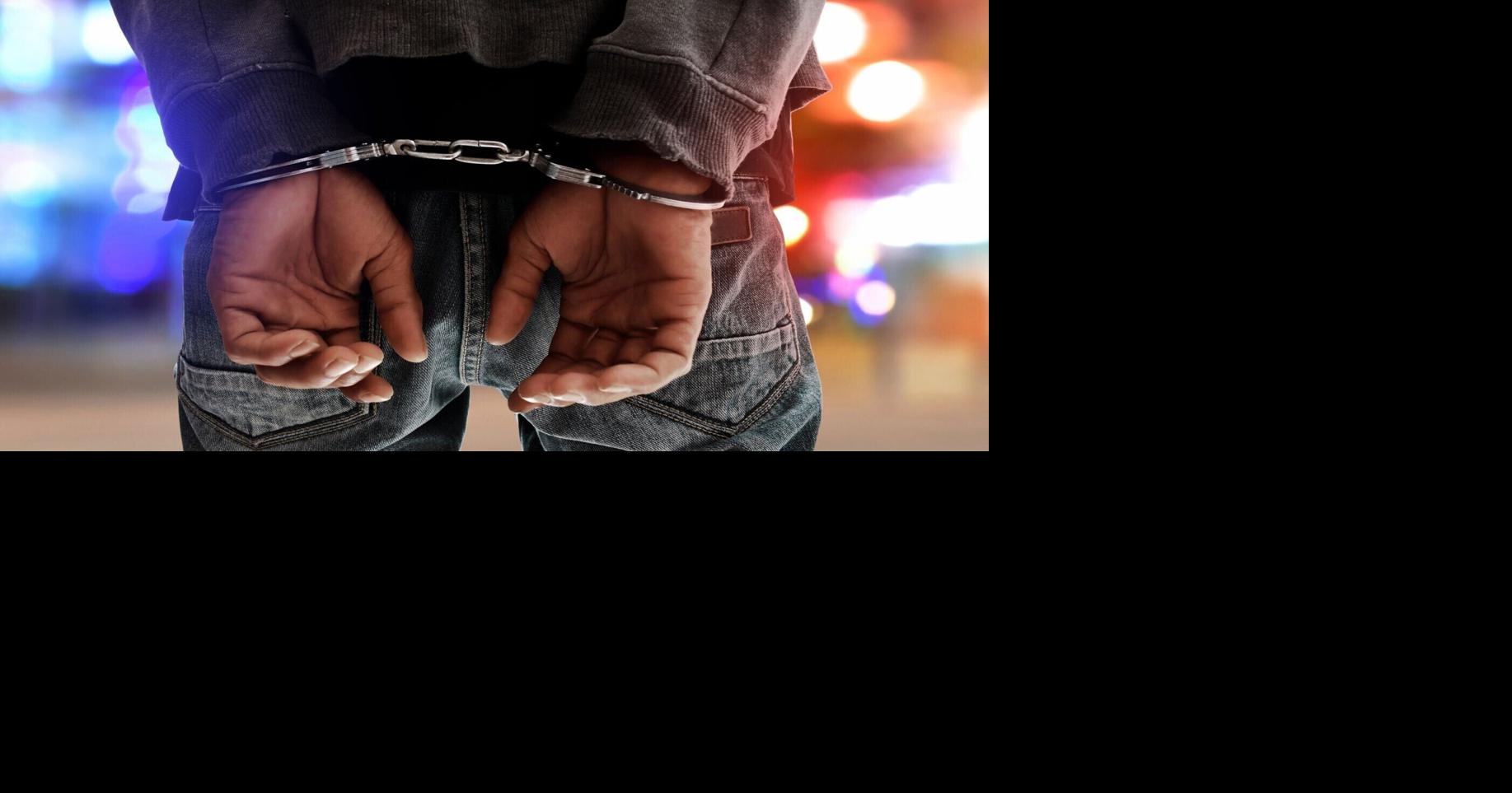 Traffic Stop and Seizure of 473 Grams of Methamphetamine and Two ...