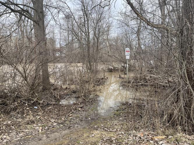 Walking trail flood