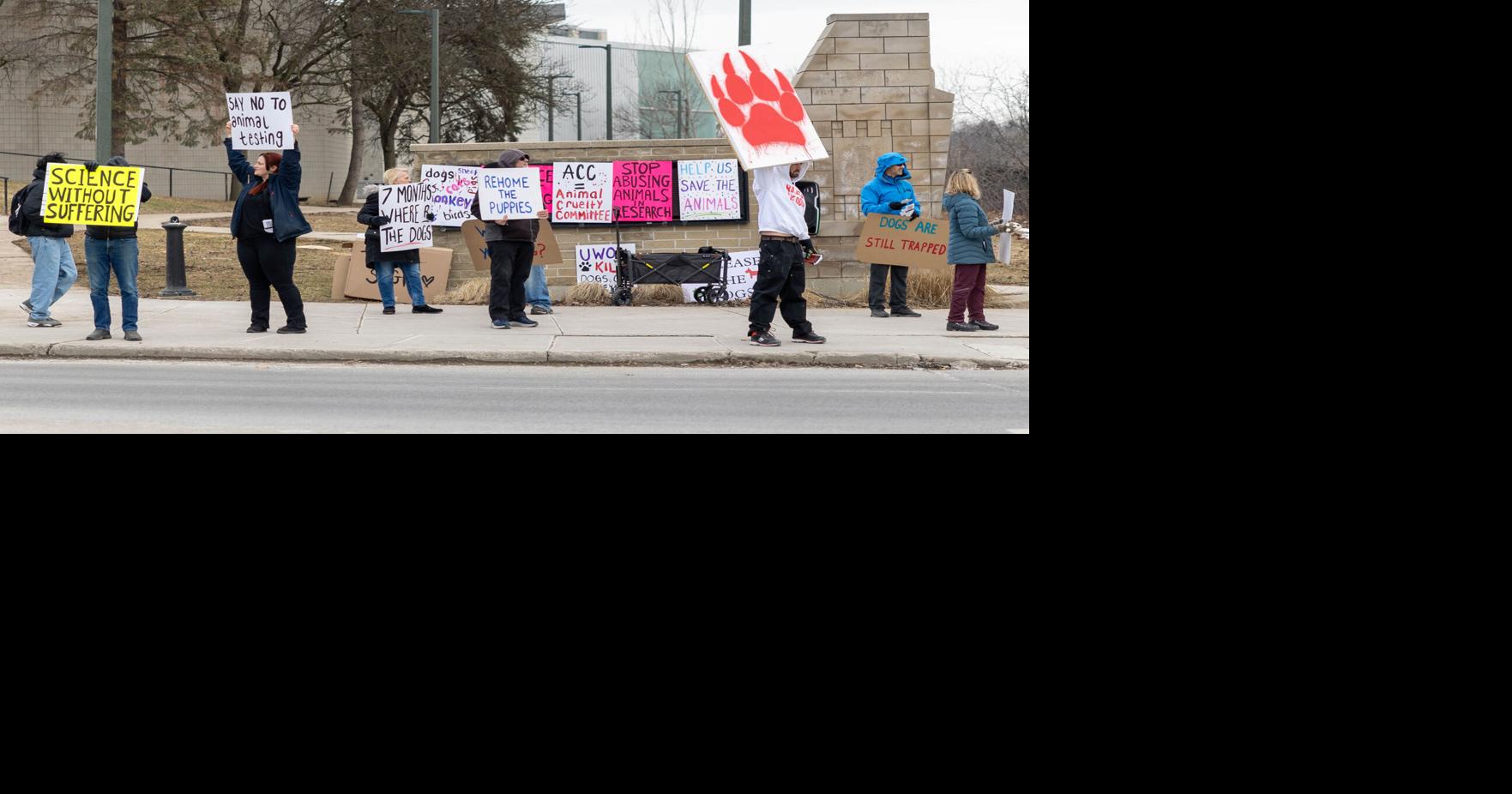 Londoners demand St. Joseph’s ‘release the dogs’