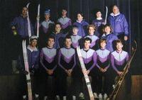 nordic ski team