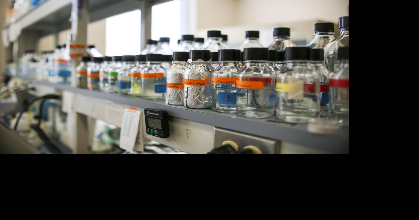 Western vaccine researchers cautiously encouraged by Pfizer trial ...