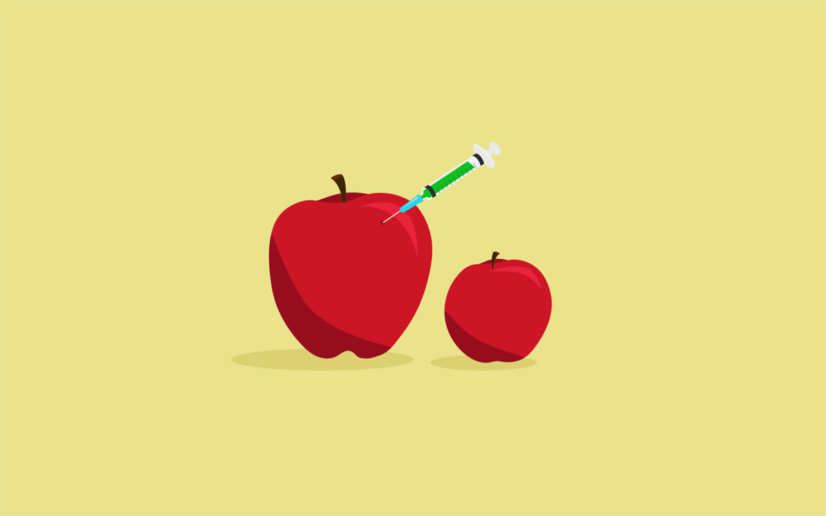 GMOs: food or foe? | Culture | westerngazette.ca