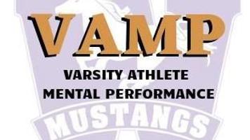 vamp is