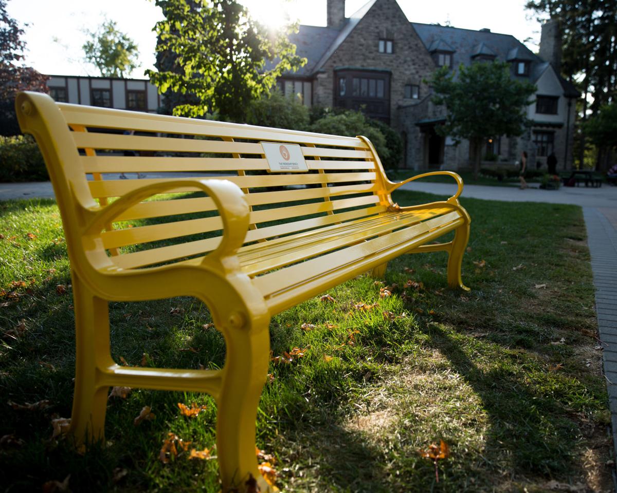 King's new friendship bench emphasizes campus mental wellness News