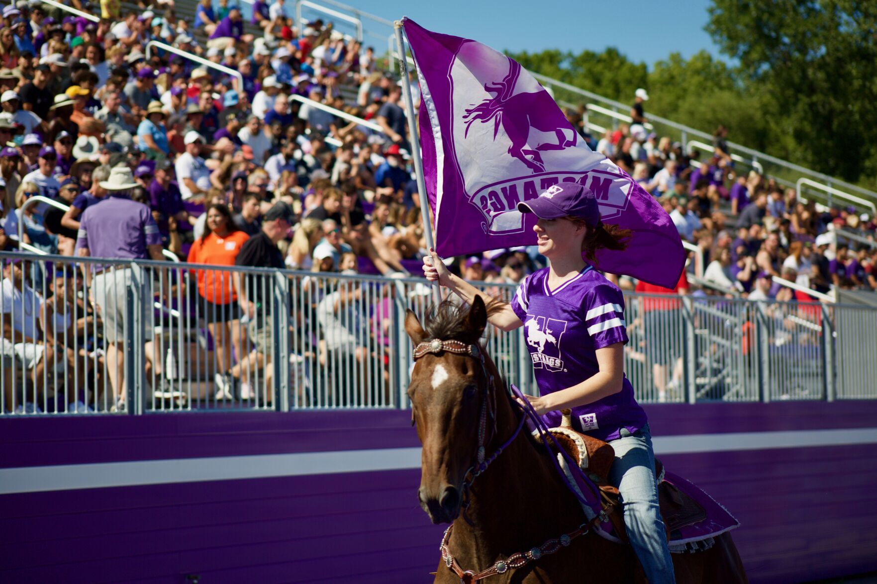 horse football game