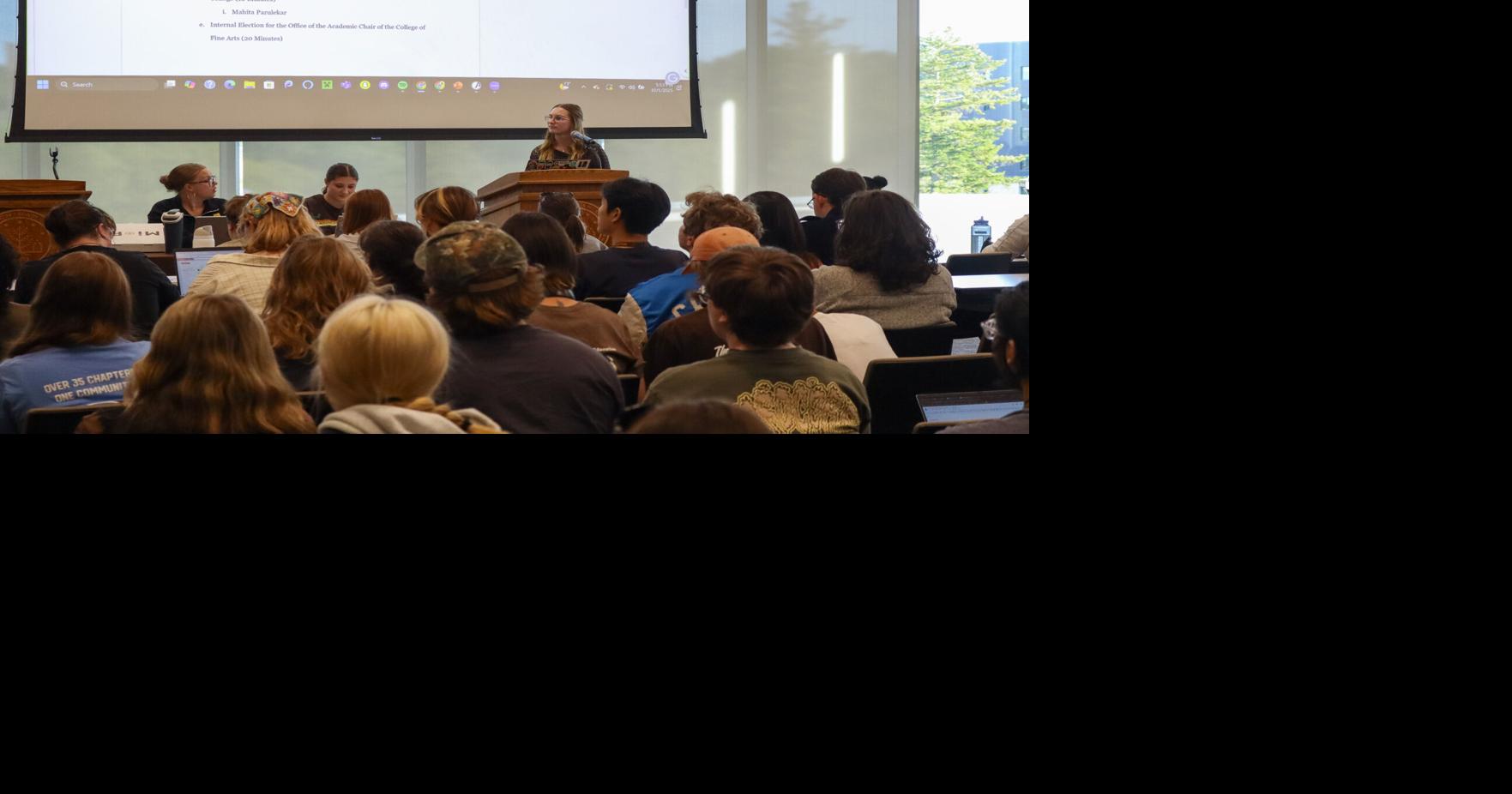 WSA approves academic chairs and makes plans for future meetings | News ...