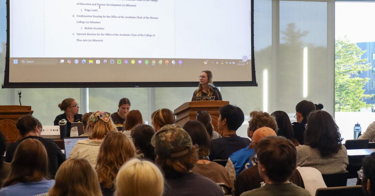 Allie Rak WSA approves academic chairs and makes plans for future meetings | News ...
