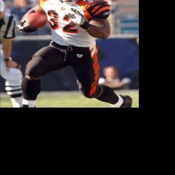 r johnson 32 bengals