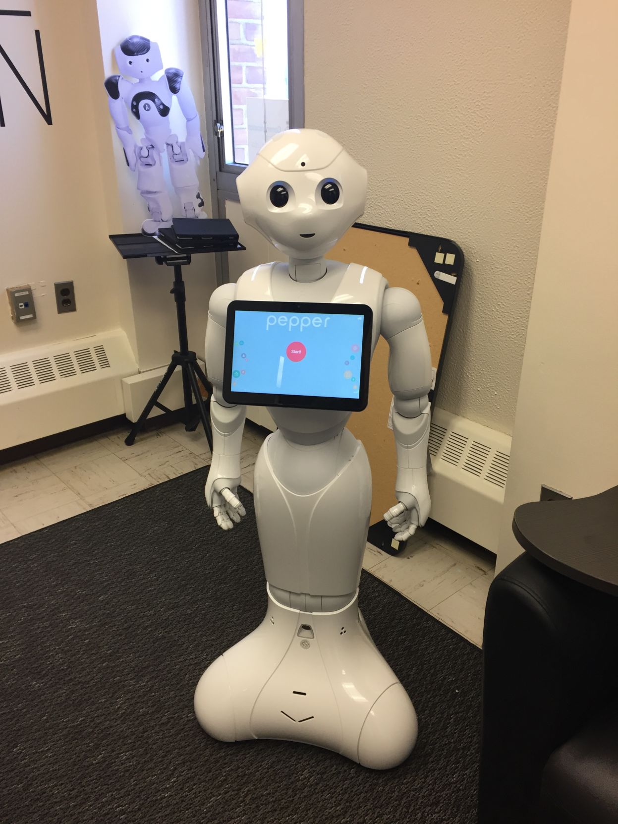 interactive robots for adults