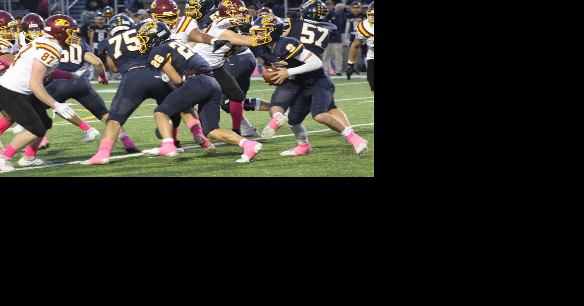 HIGH SCHOOL FOOTBALL: OLMSTED FALLS 49, AVON LAKE 24 | Sports ...