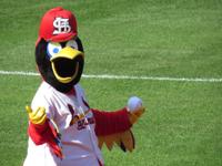 Cardinals Hall of Fame vote announced for 2021