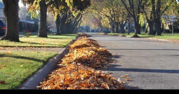 Curbside Yard Waste Collection Town of Manchester